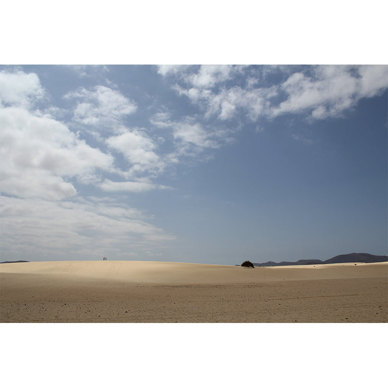 Barren Area Photography Desert Mural Modernism Wall Covering for Decoration