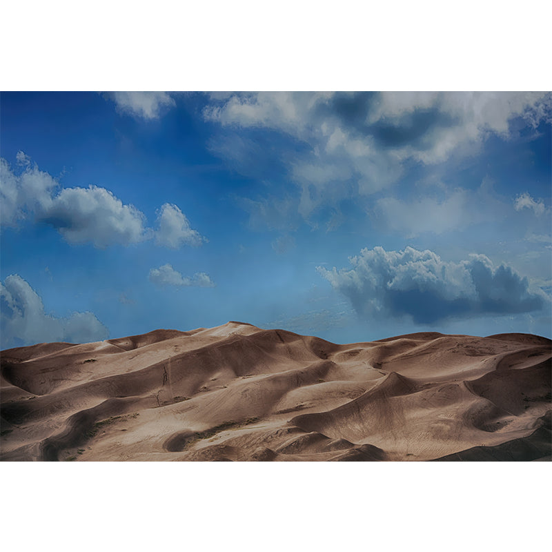 Desert Desertification View Mural Mildew Resistant for Bedroom Decoration