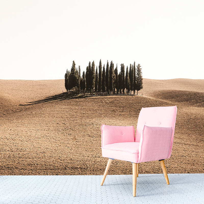 Beautiful Desert Customized Wall Mural Moisture Resistant Home Decor for Sitting Room