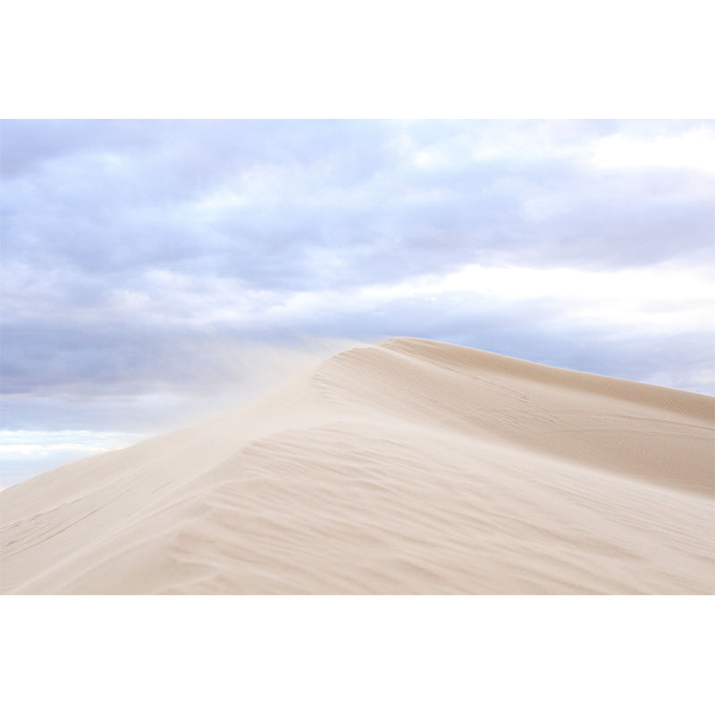 Beautiful Desert Customized Wall Mural Moisture Resistant Home Decor for Sitting Room