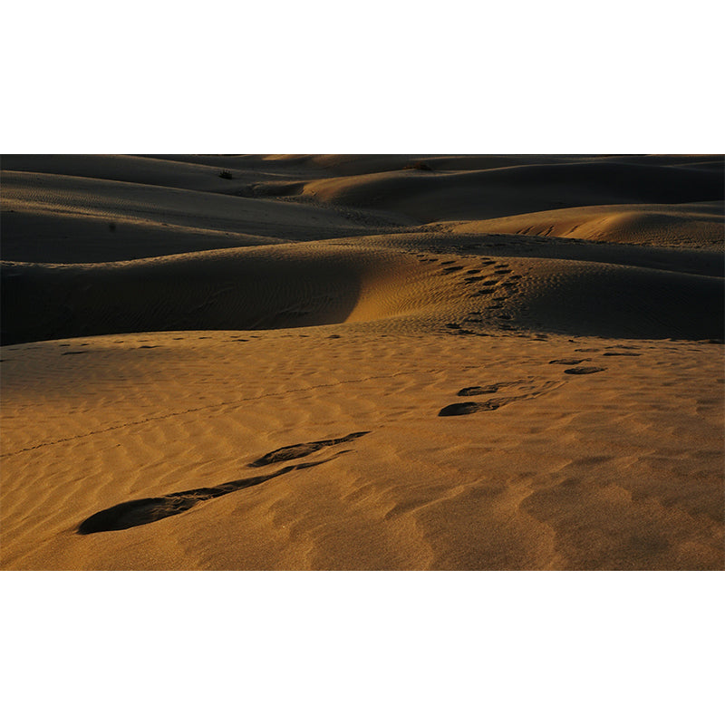 Wind Erosion Desert Wall Mural Modernism Wall Covering for Sitting Room