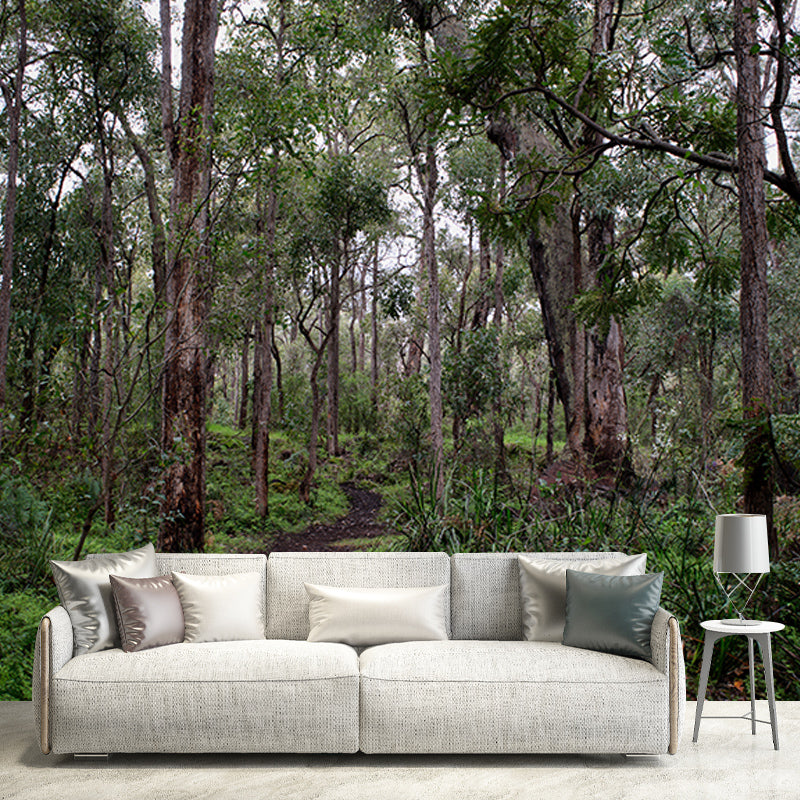 Minimalism Style Forest Mural Wallpaper Water Resistant Wall Covering for Home