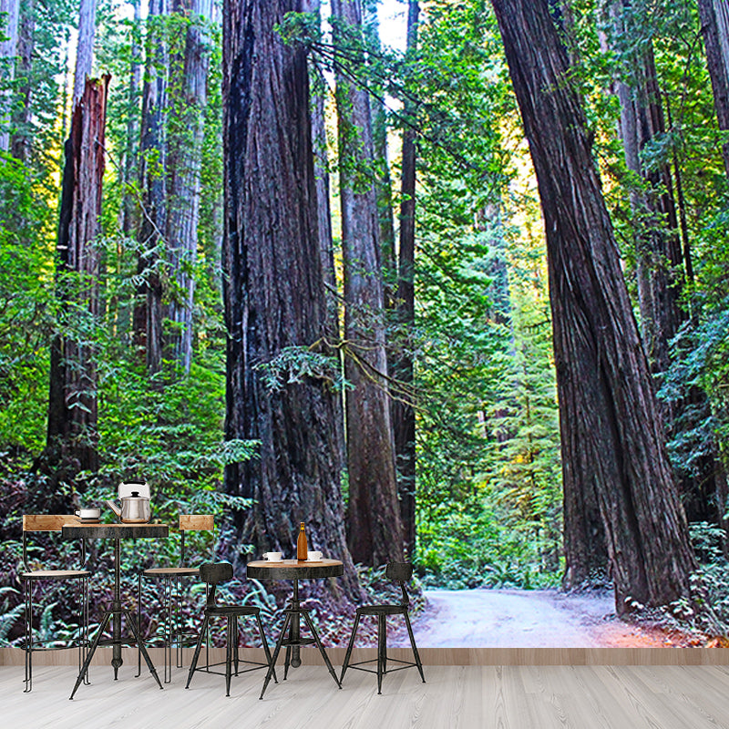 Green Forest Mural Wallpaper Water Resistant Wall Covering for Reading Room