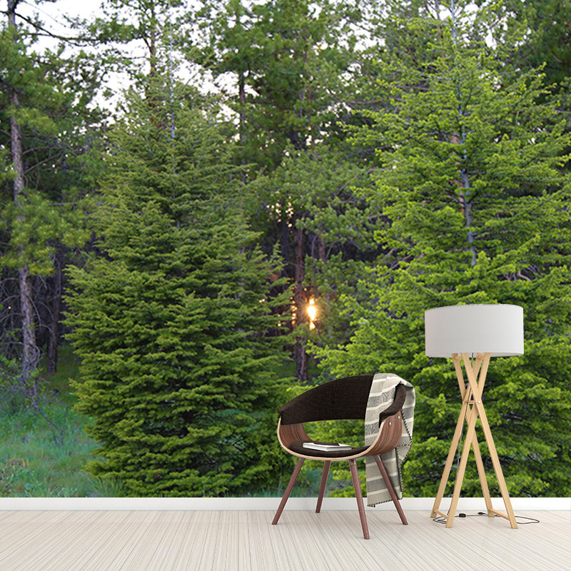 Green Forest Mural Wallpaper Water Resistant Wall Covering for Reading Room