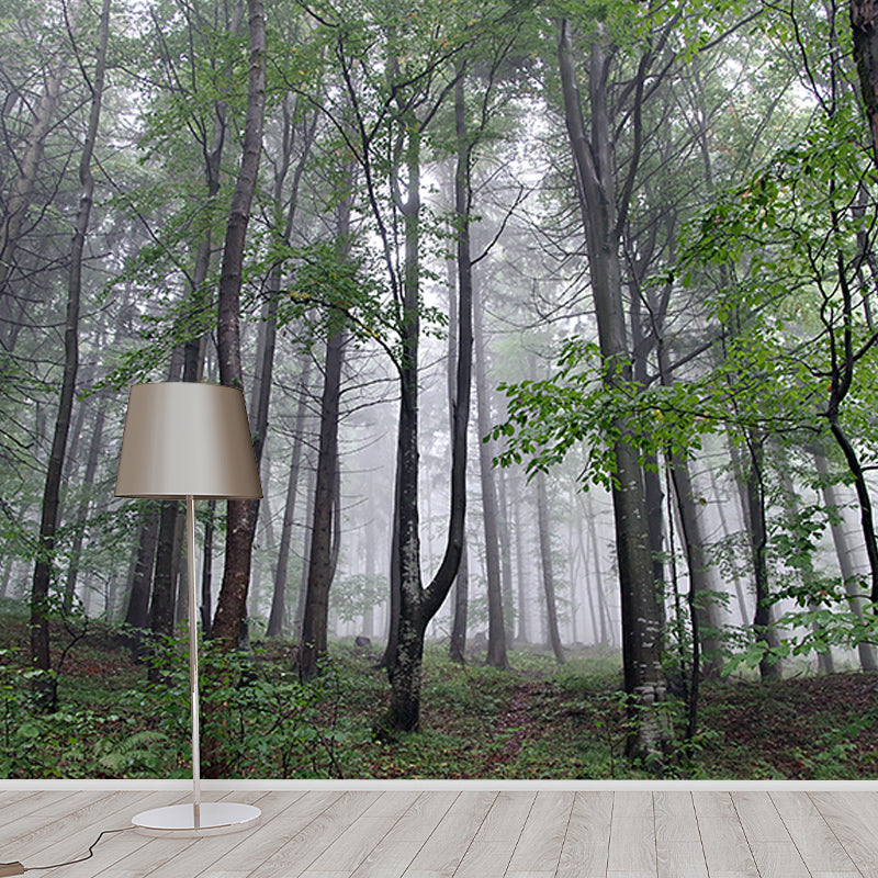 Green Forest Mural Wallpaper Water Resistant Wall Covering for Reading Room