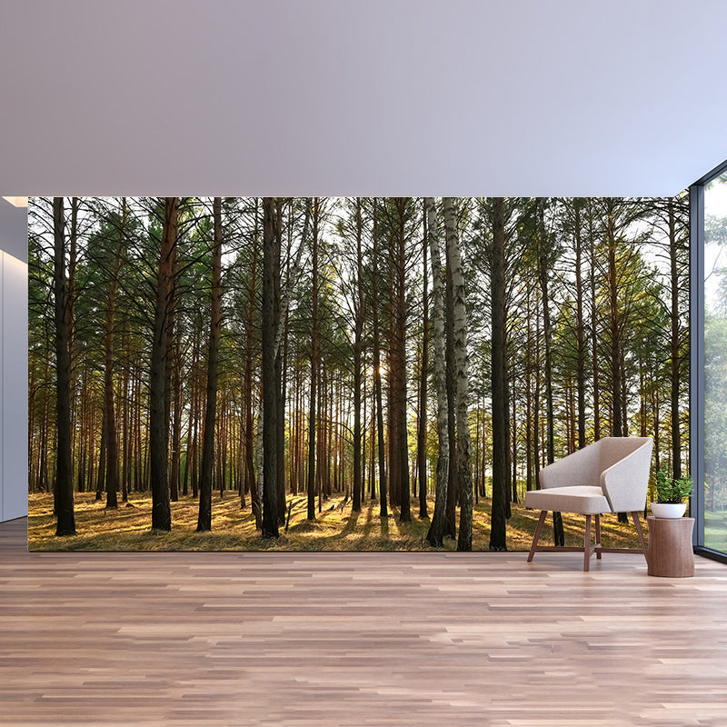 Simple Forest Wall Mural Decal Full Size Moisture Resistant, Made to Measure