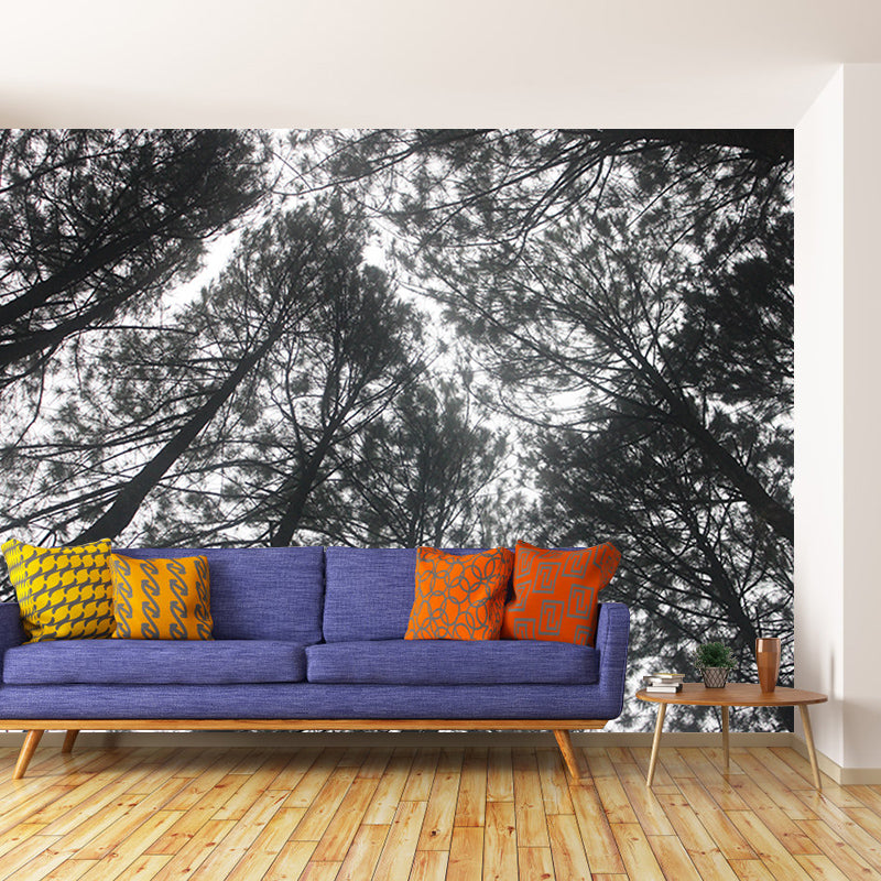 Simple Forest Wall Mural Decal Full Size Moisture Resistant, Made to Measure