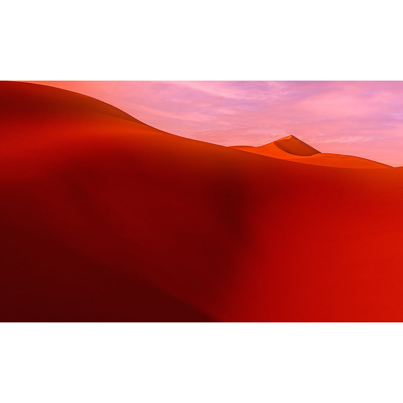 Contemporary Style Desert Mural Decal, Moisture Resistant, Made to Measure