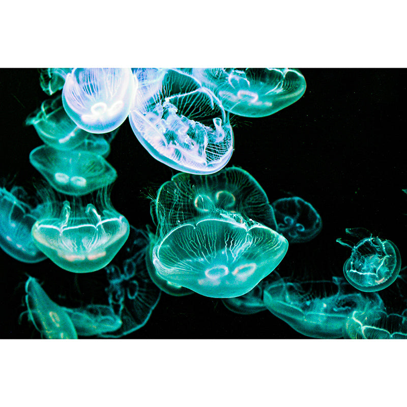 Tropical Marine Life Moisture-Resistant Mural Wallpaper, Personalized Size Available