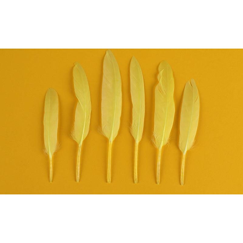 Decor Bird Feather Mural for House Interior Moisture Resistant, Custom Size Available