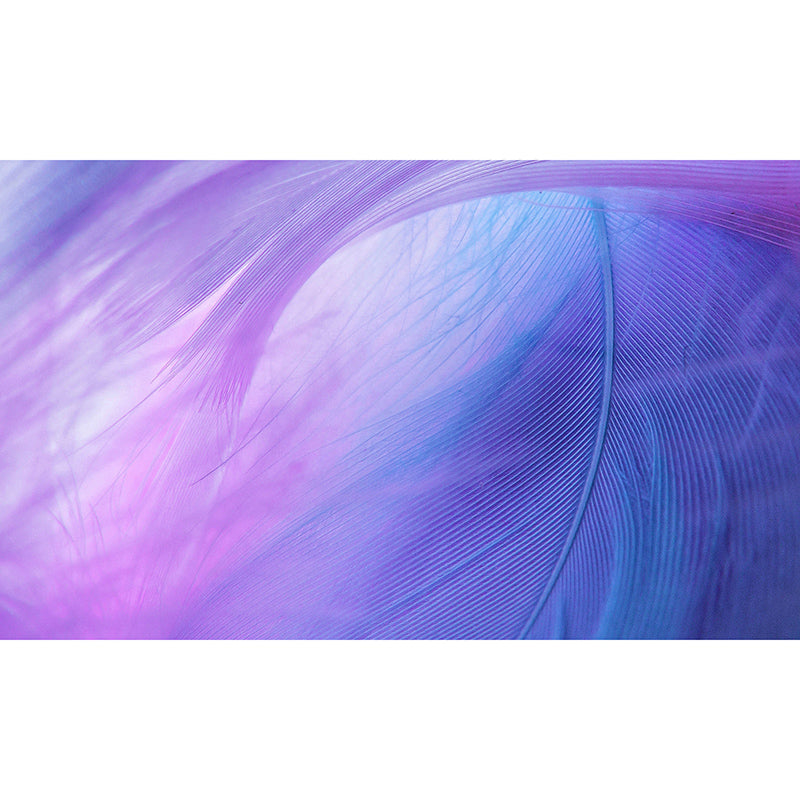 Beautiful Feather Wall Decor for Bedroom Moisture Resistant, Custom Size Available