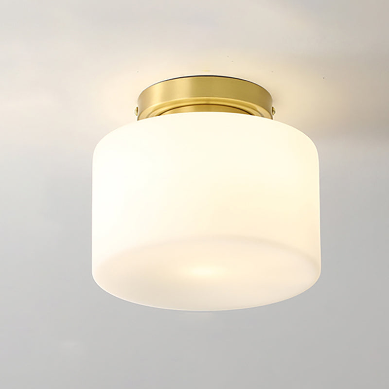 Single Heads Ceiling Mounted Lights Simplicity Flush Mount Ceiling Lighting