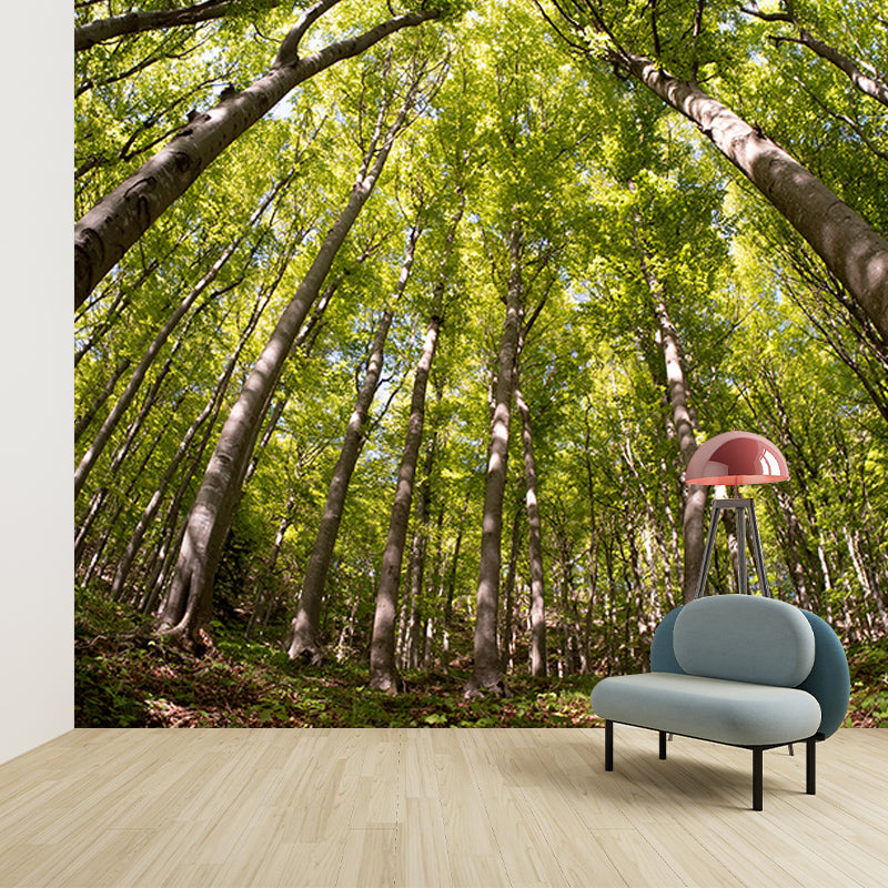 Nature Wall Mural Forest Landscape Mildew Resistant Wall Decor, Personalized Size