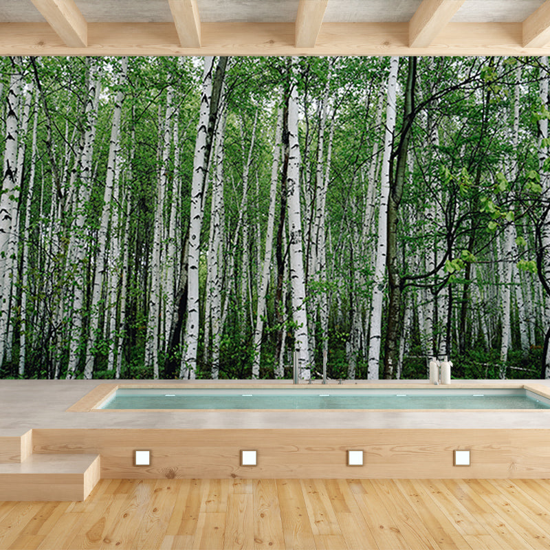 Nature Wall Mural Forest Landscape Mildew Resistant Wall Decor, Personalized Size