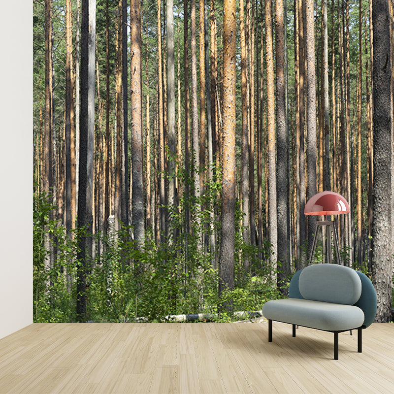 Forest Landscape Wall Mural Moisture Resistant Wall Decor, Personalized Size