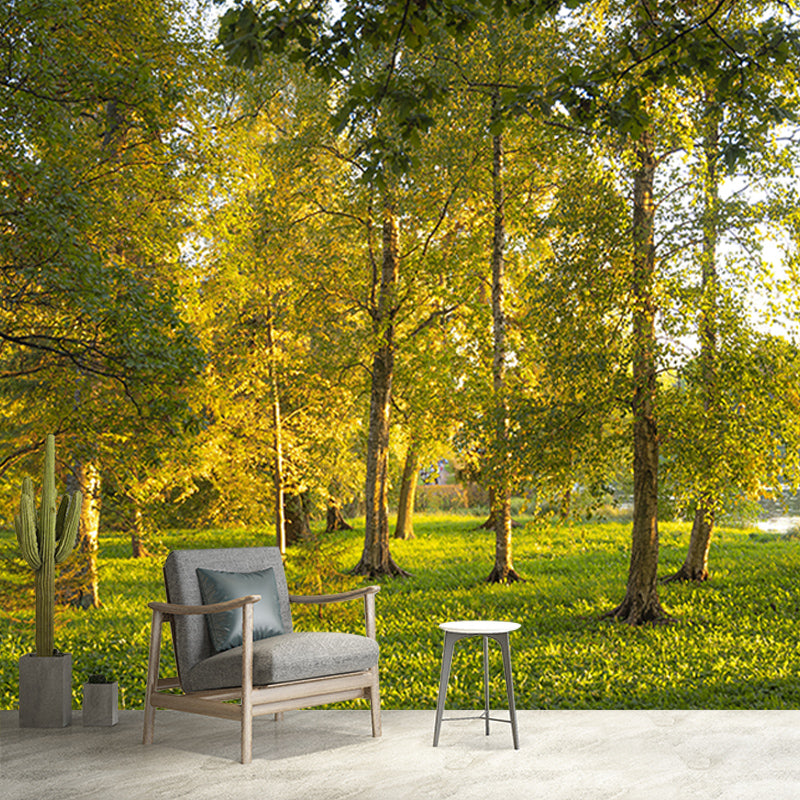 Misty Forest Scenery Water Resistant Wall Decor for Living Room Bedroom