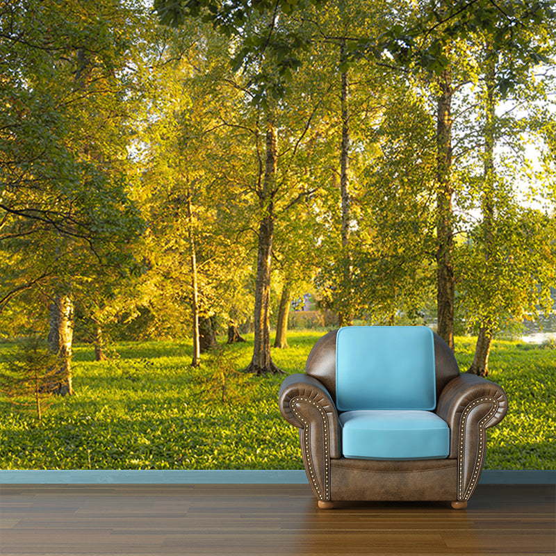 Misty Forest Scenery Water Resistant Wall Decor for Living Room Bedroom