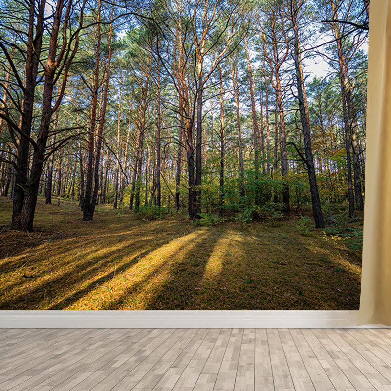 Green Forest Scenery Mural Wall Decor for Bedroom Study Room Reading Room