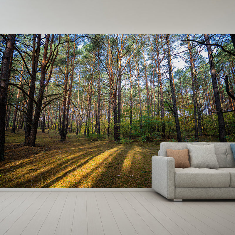 Green Forest Scenery Mural Wall Decor for Bedroom Study Room Reading Room