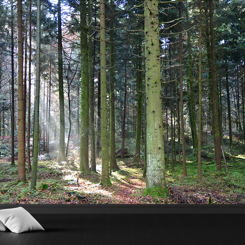 Forest Landscape Mural Water Resistant Wall Decor for Bedroom Reading Room