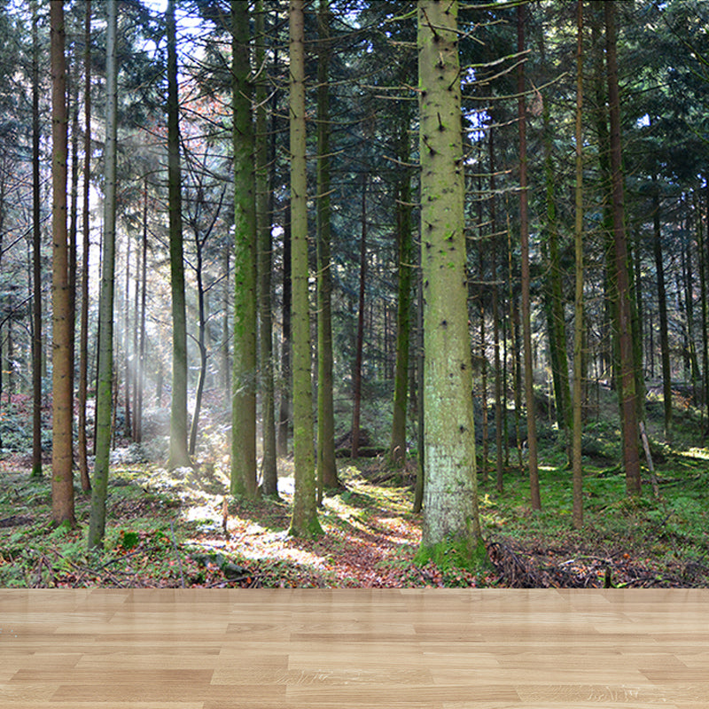 Forest Landscape Mural Water Resistant Wall Decor for Bedroom Reading Room