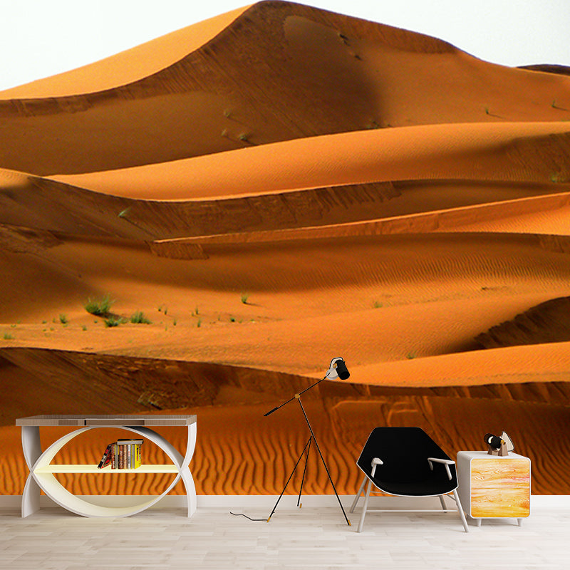 Photography Desert Scenery Wall Murals for Living Room, Moisture Resistant