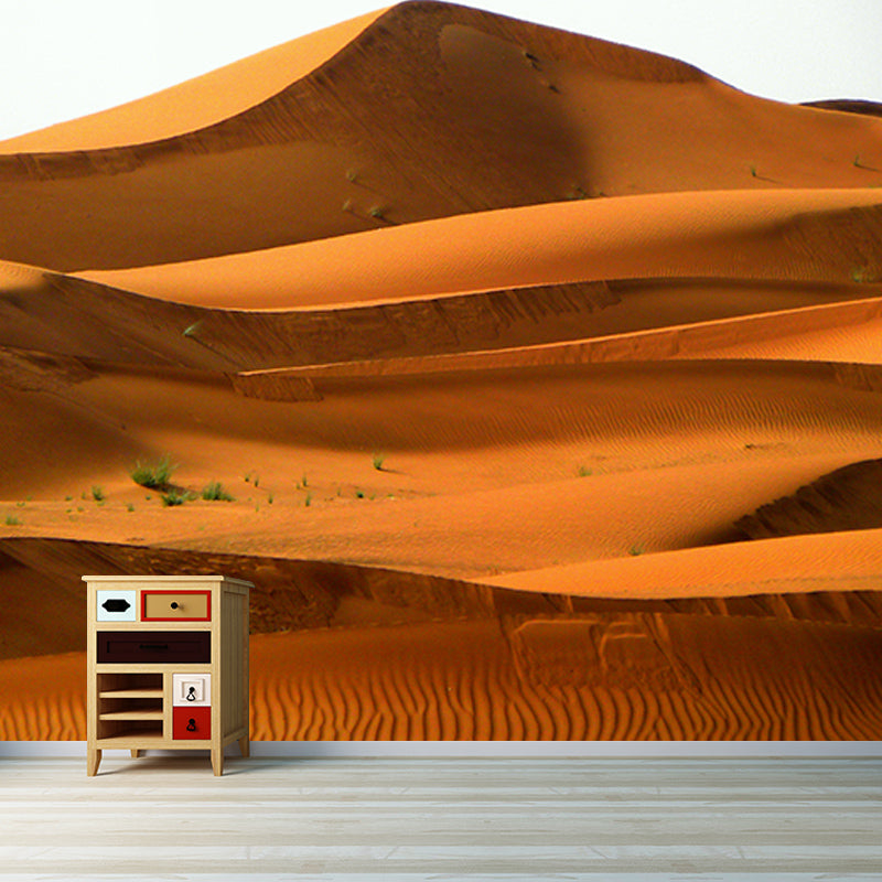 Photography Desert Scenery Wall Murals for Living Room, Moisture Resistant