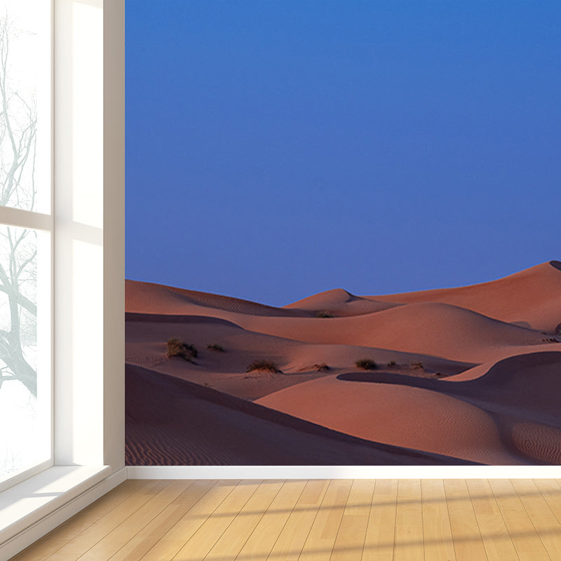 Contemporary Desert Wall Murals for Indoor Room, Moisture Resistant, Personalised Size