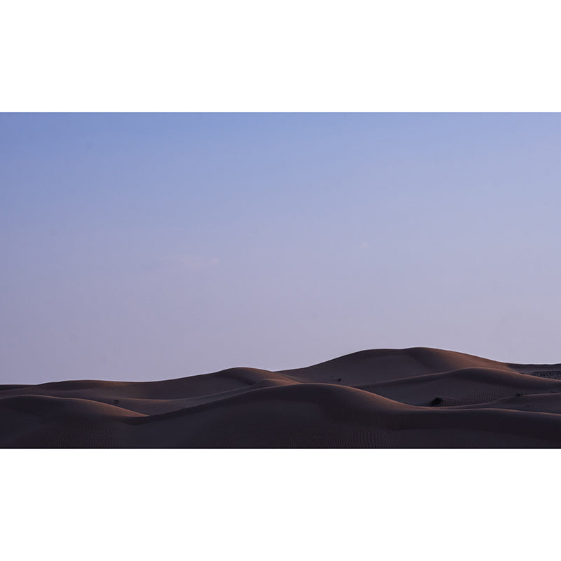 Contemporary Desert Wall Murals for Indoor Room, Moisture Resistant, Personalised Size