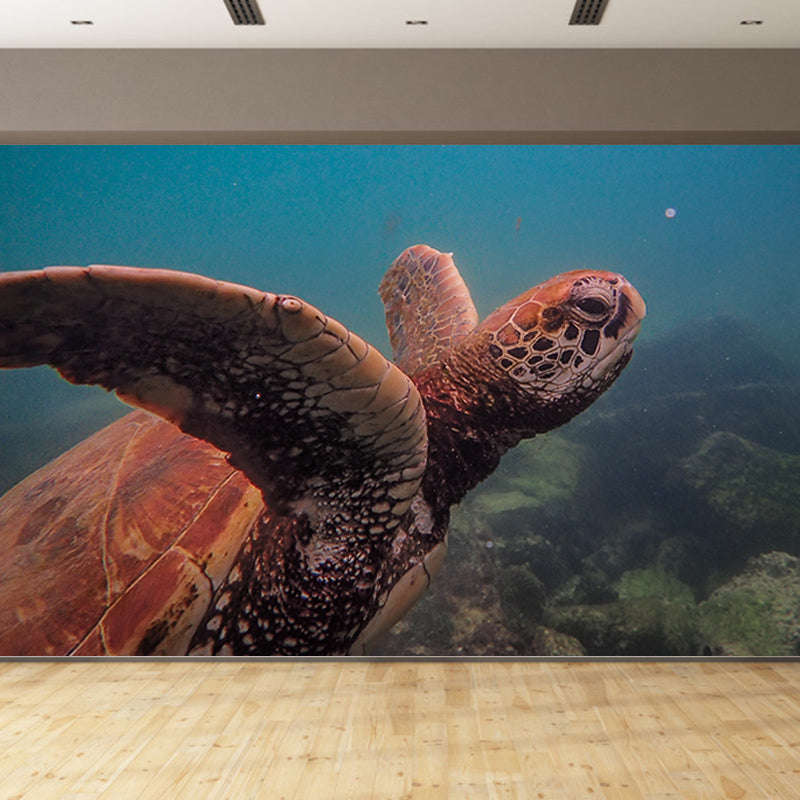 Sea Creatures Contemporary Murals Environment Friendly Wallpaper Sitting Room Wall Decor