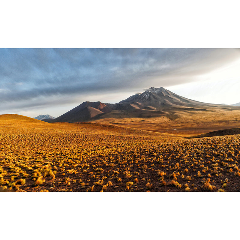 Tropical Desert Wall Covering for Home Decor Bedroom Customized Mural Wallpaper