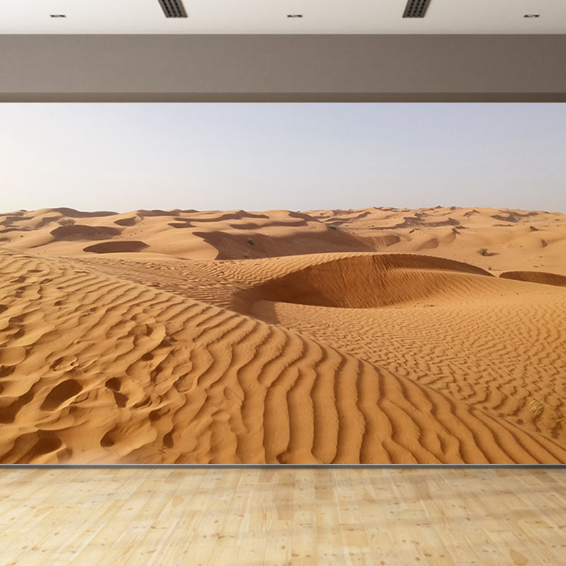 Tropical Desert Wall Murals Contemporary Photography Style Wall Art for Bedroom