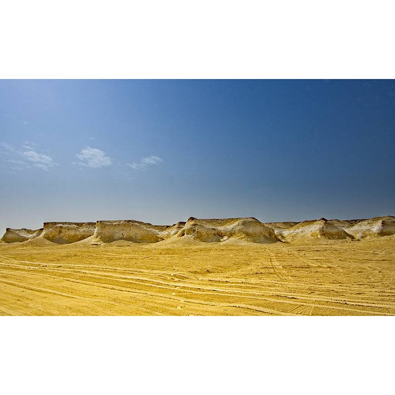 Desert Mural Wallpaper for Living Room Decor, Personalized Size Available