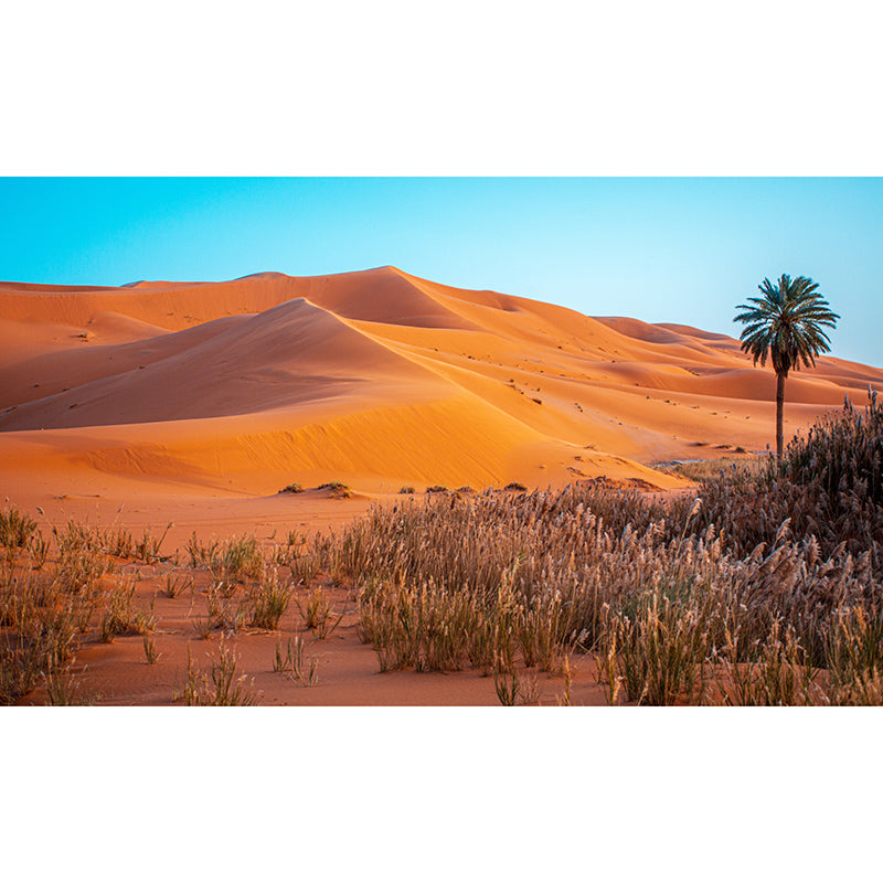 Dry Desert Wall Mural Decal for Reading Room, Personalized Size Available