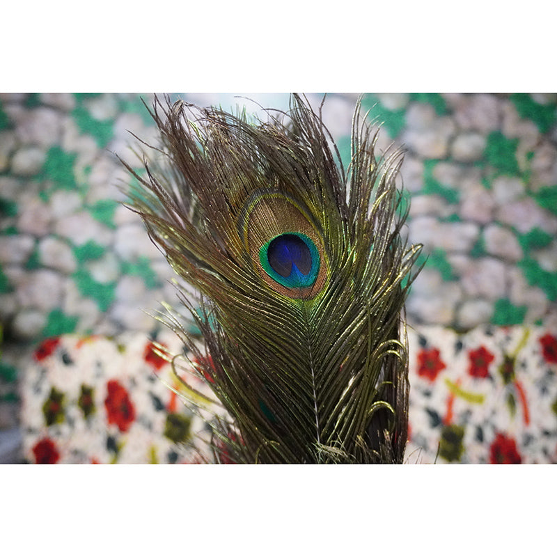 Feather Photo Mural Wallpaper Water Resistant, Personalized Size Available