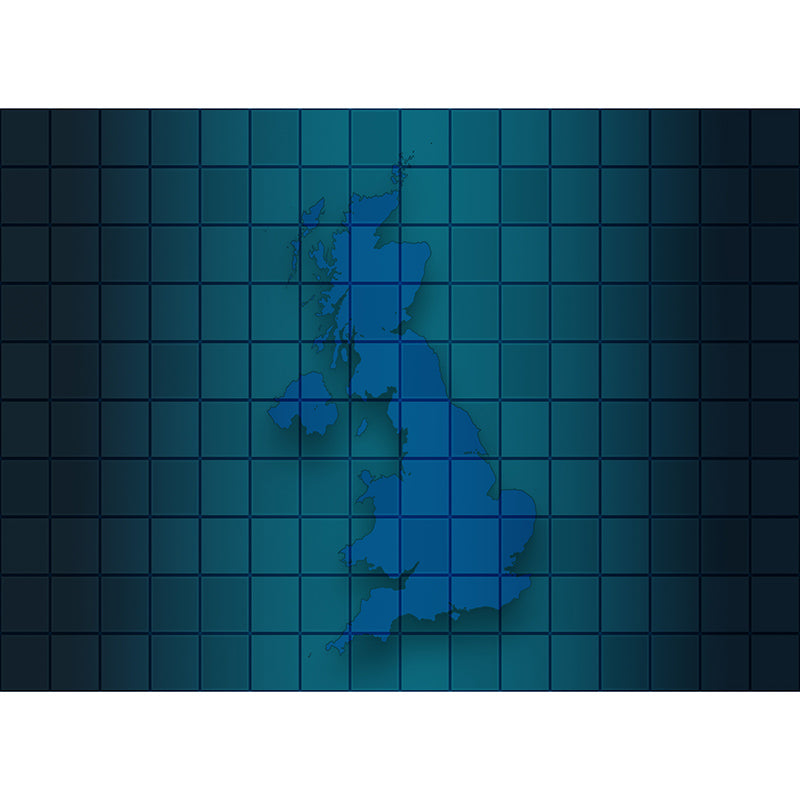 Map Illustration Wall Murals for Meeting Room Office Wall Art, Made to Measure