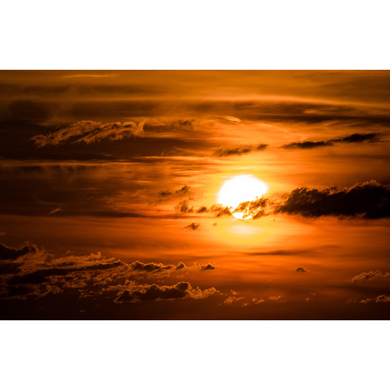 Mildew Resistant Wall Mural Wallpaper Sky Landscapes Pattern for Bedroom