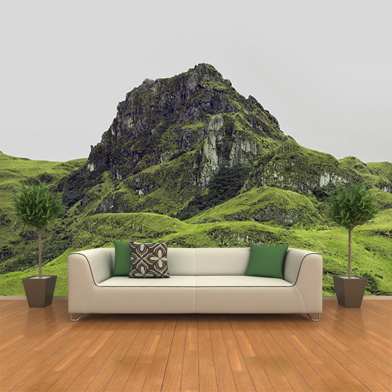 Mildew Resistant Mural Wallpaper Mountain Landscapes Pattern for Bedroom