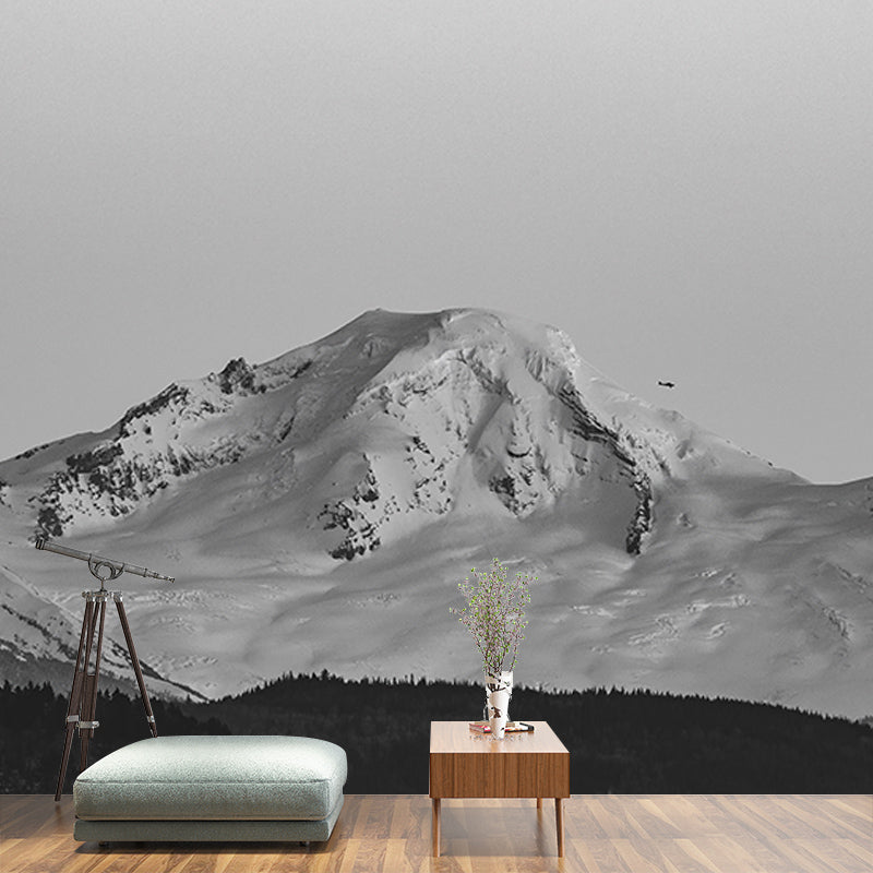 Mildew Resistant Wall Mural Wallpaper Mountain Landscapes Pattern for Bedroom