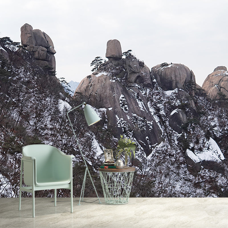 Mildew Resistant Wall Mural Wallpaper Mountain Landscapes Pattern for Bedroom