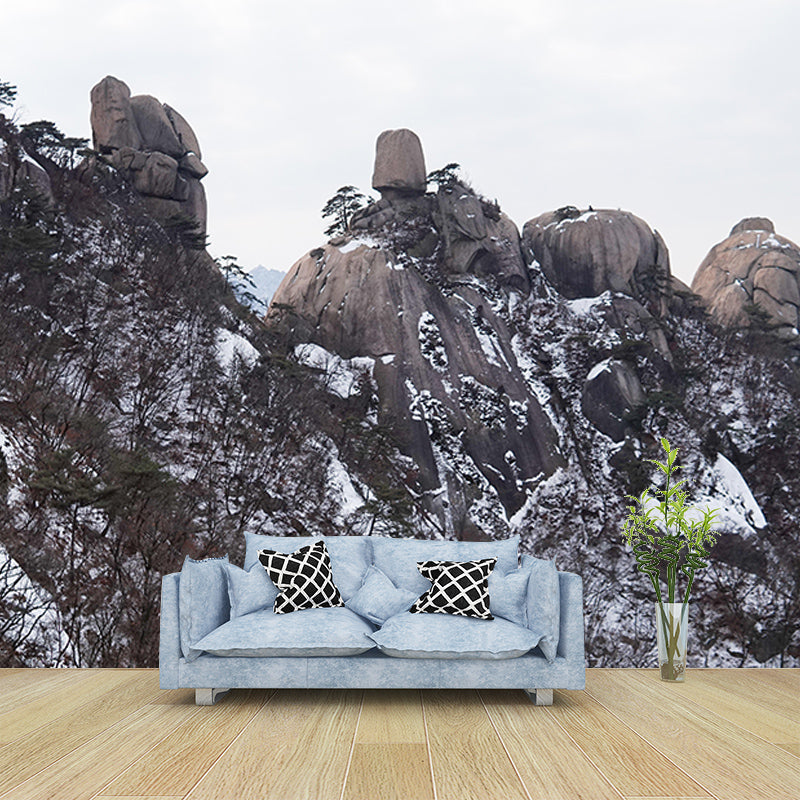 Mildew Resistant Wall Mural Wallpaper Mountain Landscapes Pattern for Bedroom