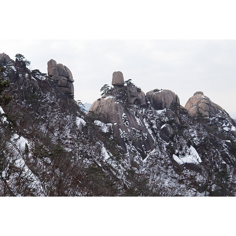 Mildew Resistant Wall Mural Wallpaper Mountain Landscapes Pattern for Bedroom