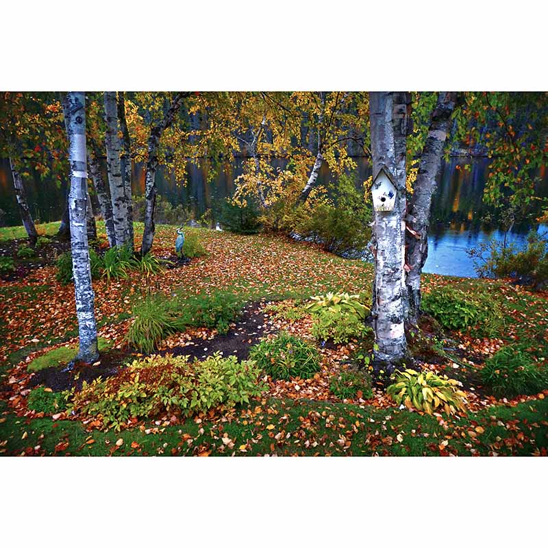 Wall Art Mildew Resistant Wall Mural Wallpaper Forest Landscapes Pattern