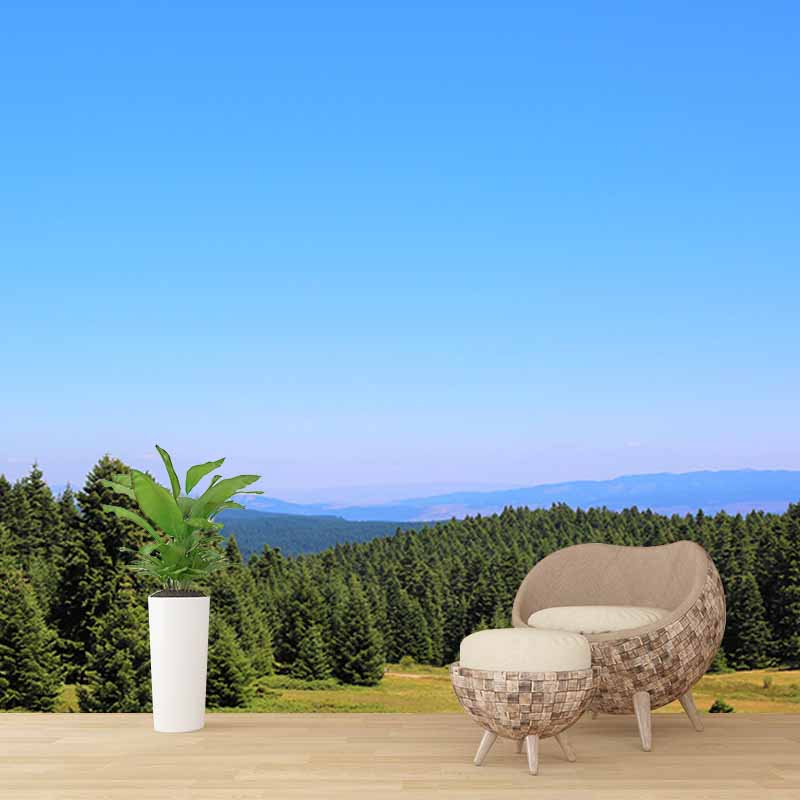 Mildew Resistant Wall Mural Wallpaper Forest Landscapes Pattern for Decoration