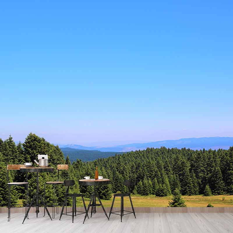 Mildew Resistant Wall Mural Wallpaper Forest Landscapes Pattern for Decoration