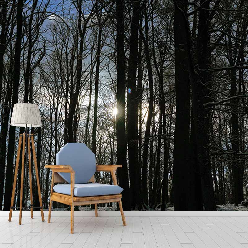 Mildew Resistant Wall Mural Wallpaper Forest Landscapes Pattern for Decoration