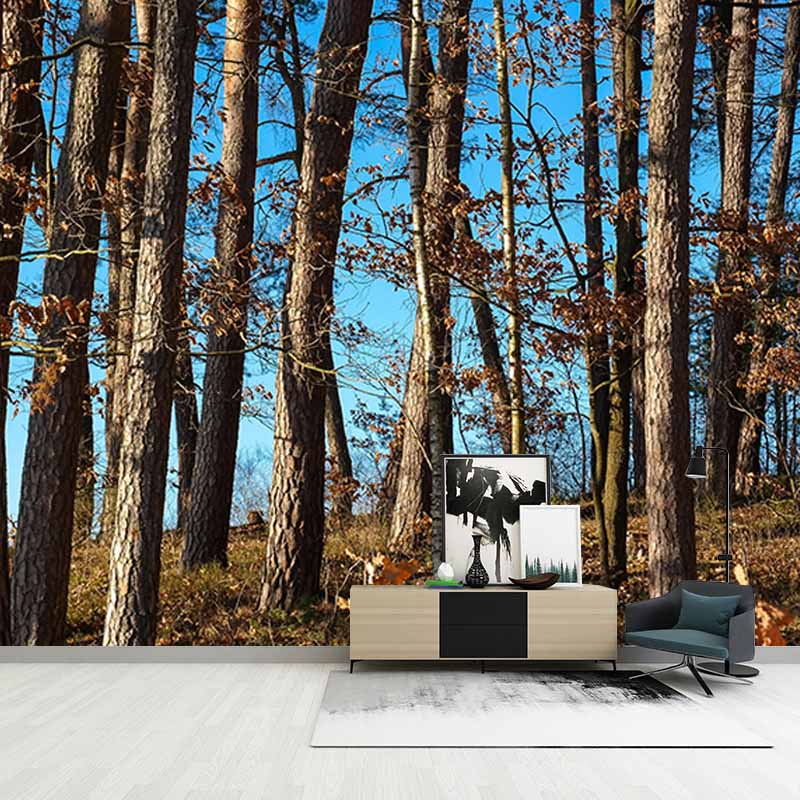 Bedroom Mildew Resistant Wall Mural Wallpaper Forest Landscapes Pattern