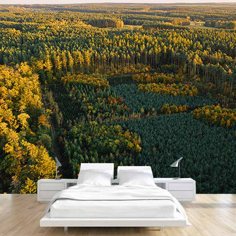 Mildew Resistant Wall Mural Wallpaper Forest Landscapes Pattern for Room