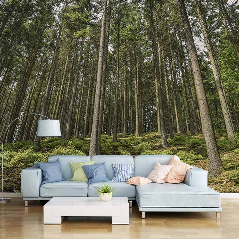 Wall Decor Forest Mildew Resistant Wall Mural Wallpaper Forest Landscapes Pattern
