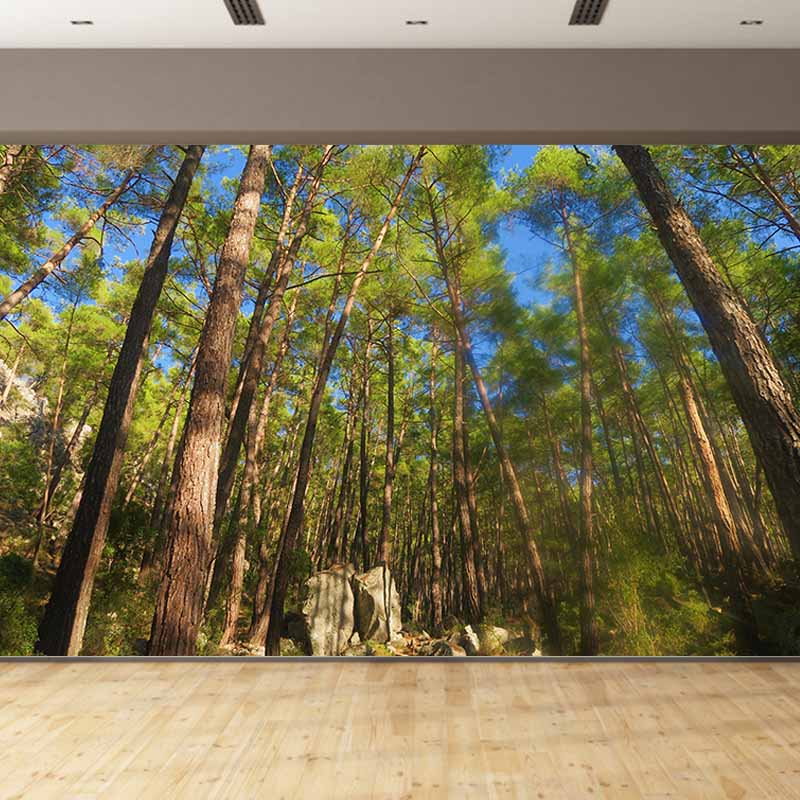 Mildew Resistant Wall Mural Wallpaper Forest Landscapes Pattern for Home